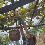 Bauernhof Dei Magi *