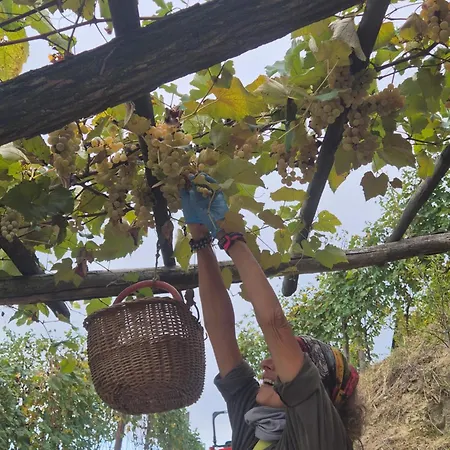 팜스테이 Dei Magi *