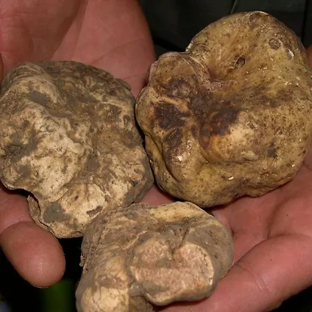 Dei Magi Gospodarstwo agroturystyczne